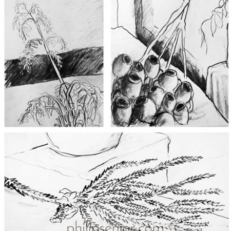 Contemporary art. Nature drawings by expressionist artist Philip Senior