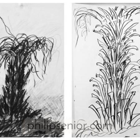 Contemporary art. Nature drawings by expressionist artist Philip Senior